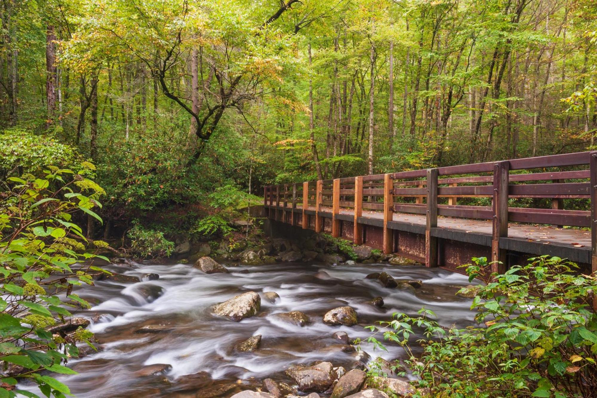 Key Lime Pie, Hot Tub,Wifi, 1089 Free Tickets Each Paid Day, Dollywood And More Gatlinburg Exterior foto