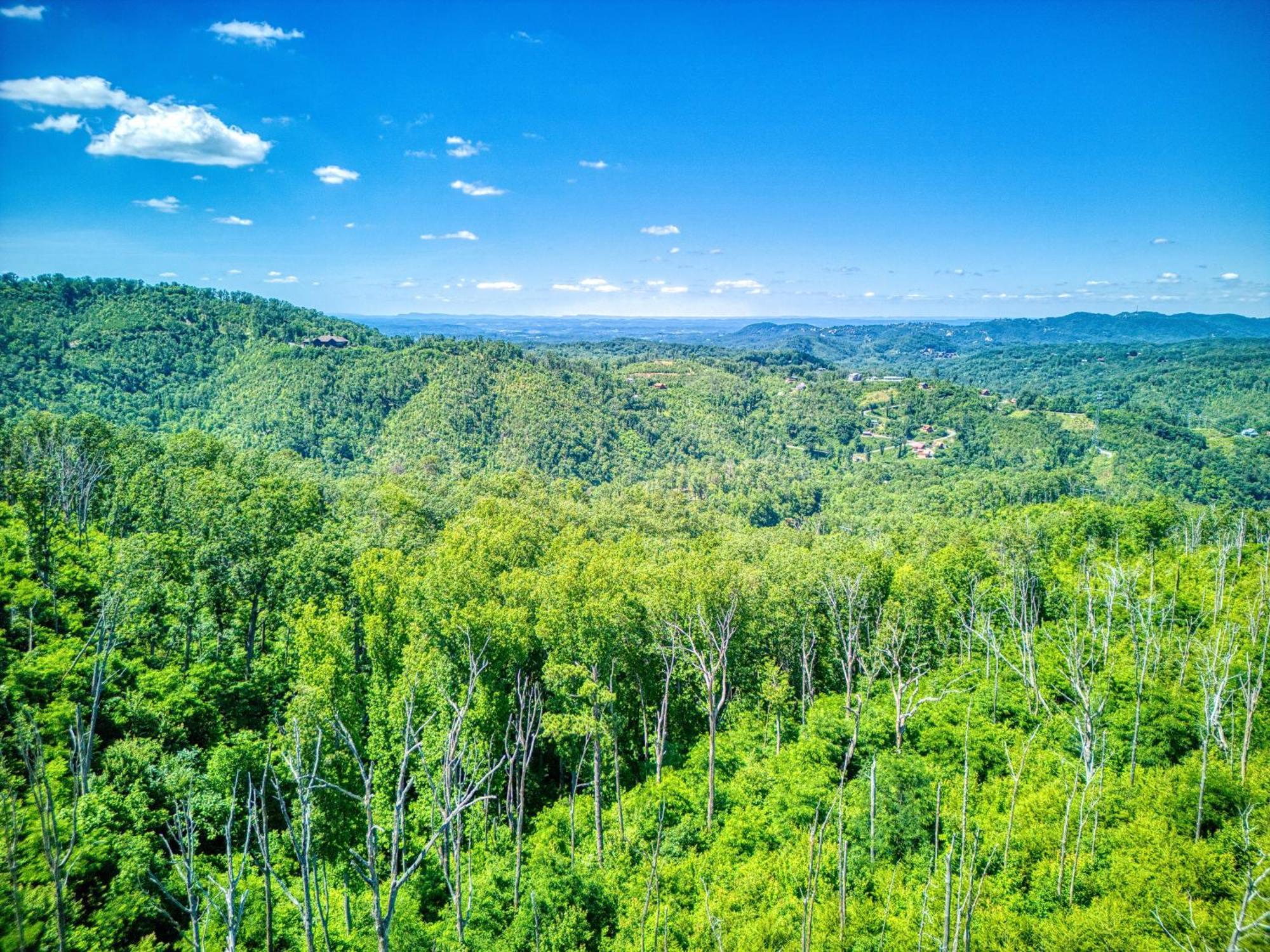 Key Lime Pie, Hot Tub,Wifi, 1089 Free Tickets Each Paid Day, Dollywood And More Gatlinburg Exterior foto